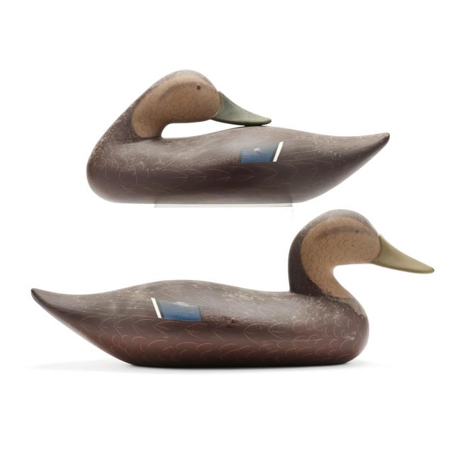 byron-bodt-md-pair-of-black-ducks