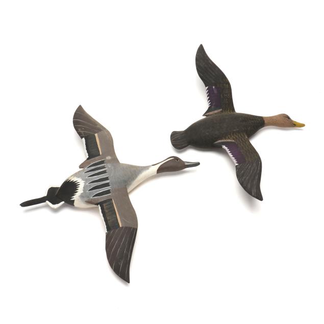 steve-merritt-va-flying-pintail-and-black-duck