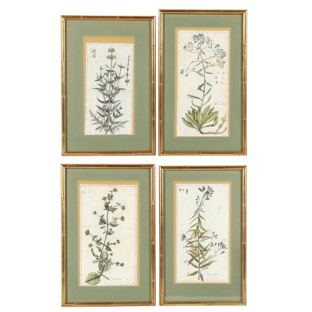 four-antique-botanical-engravings