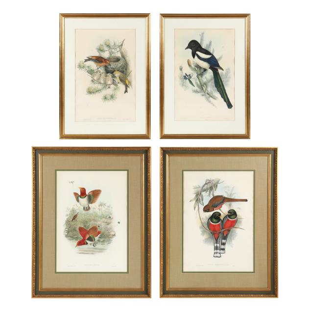 four-gould-and-richter-ornithological-prints