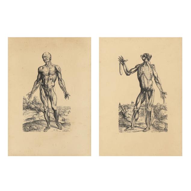 after-andreus-vasalius-dutch-1514-1564-two-prints-from-i-de-humani-corporis-fabrica-libri-septem-i