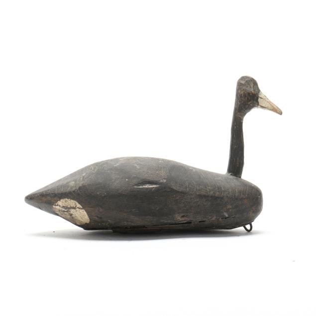 david-o-neal-nc-rood-head-coot