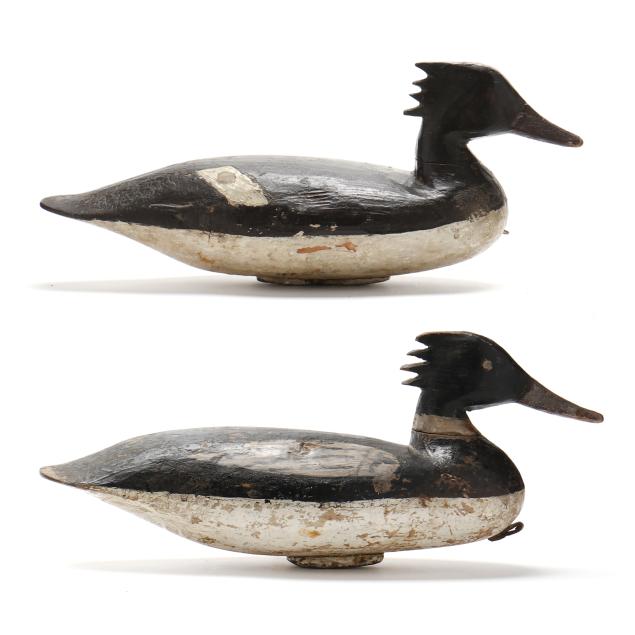 doug-jester-va-1876-1961-pair-of-mergansers