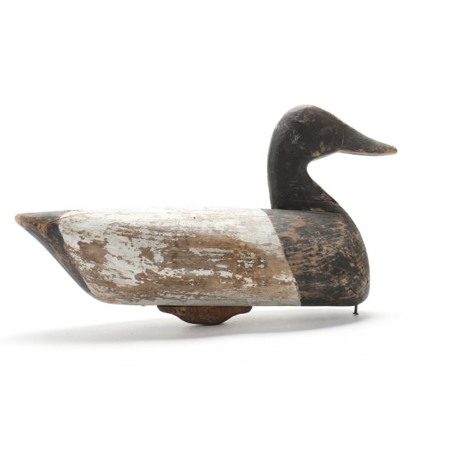 pell-austin-nc-1887-1961-canvasback