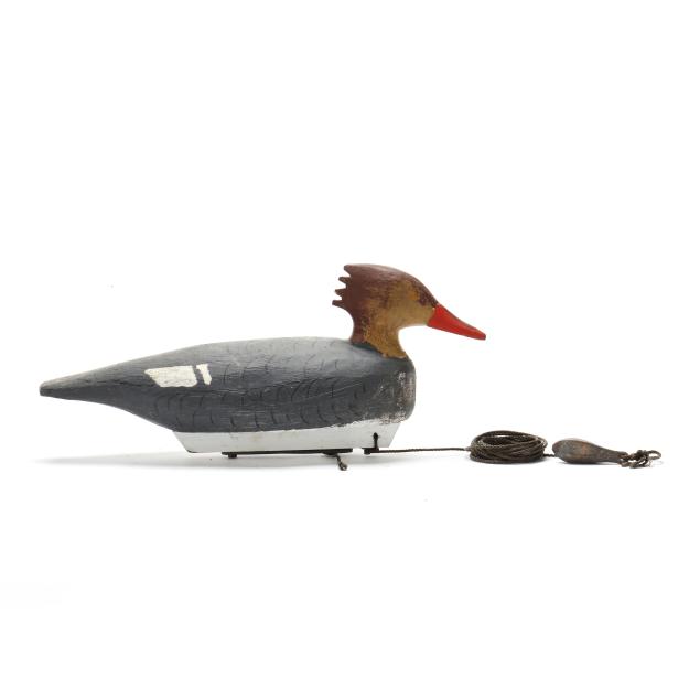 bill-chesser-va-hen-merganser
