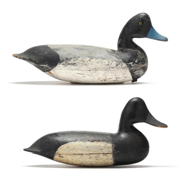 two-early-bluebills-charles-birch-and-harry-v-shourds