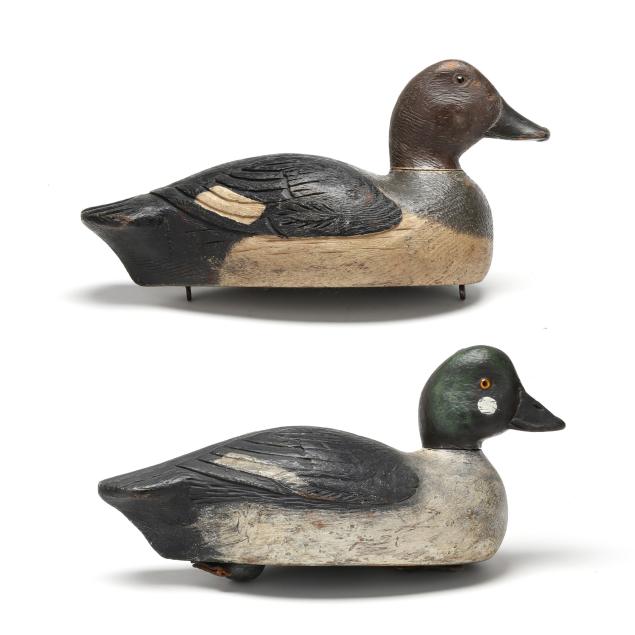 bob-waterhouse-qc-pair-of-goldeneye