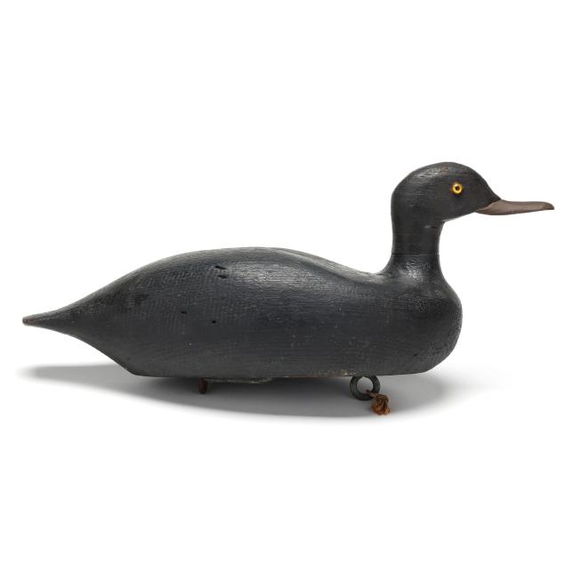 folky-merganser-branded-renear