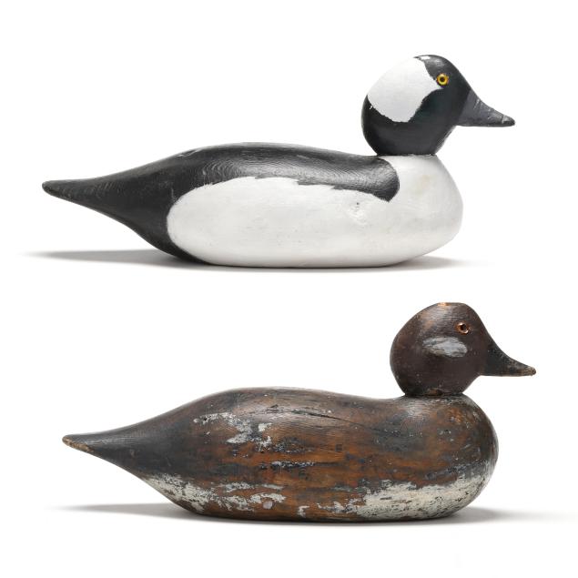 early-bacon-style-bufflehead-pair
