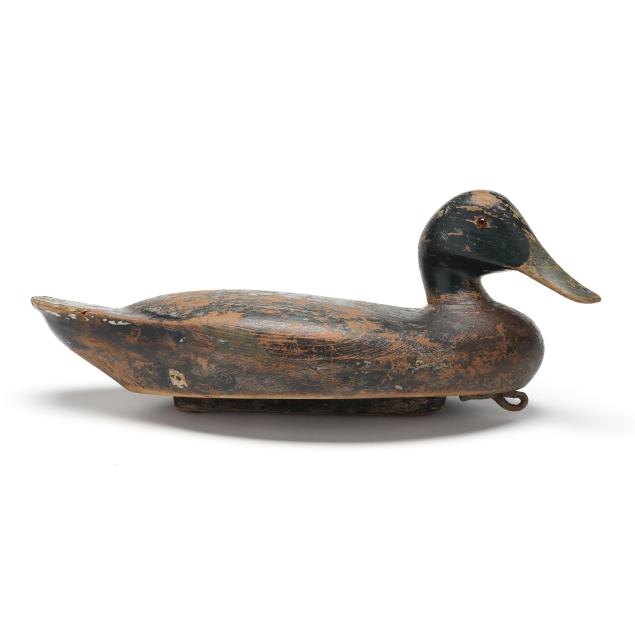 early-illinois-turned-head-mallard