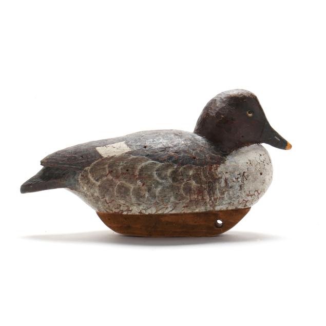 ray-whetzel-md-va-1932-2019-hen-goldeneye