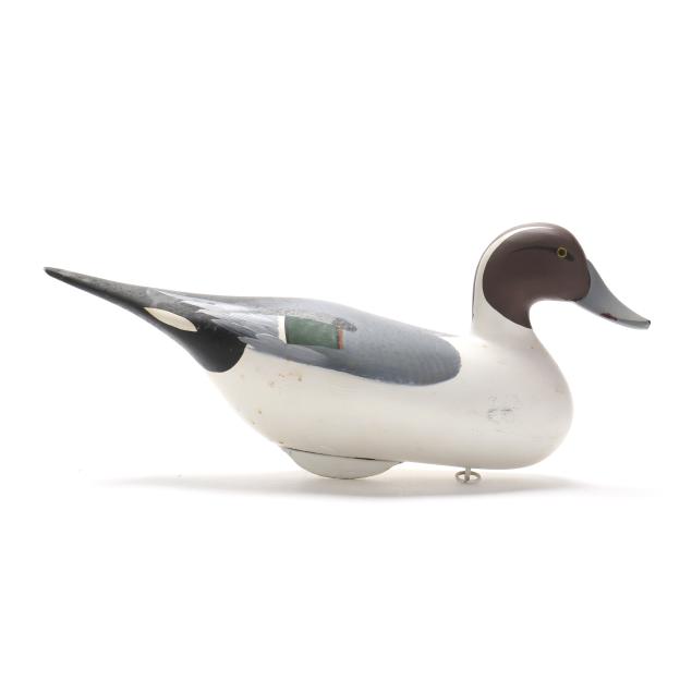 bob-jobes-md-pintail