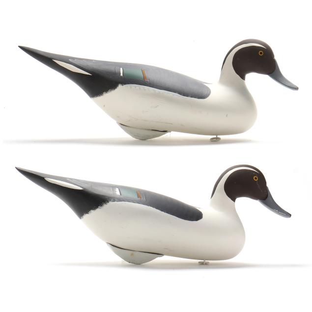 pat-vincenti-md-two-pintails