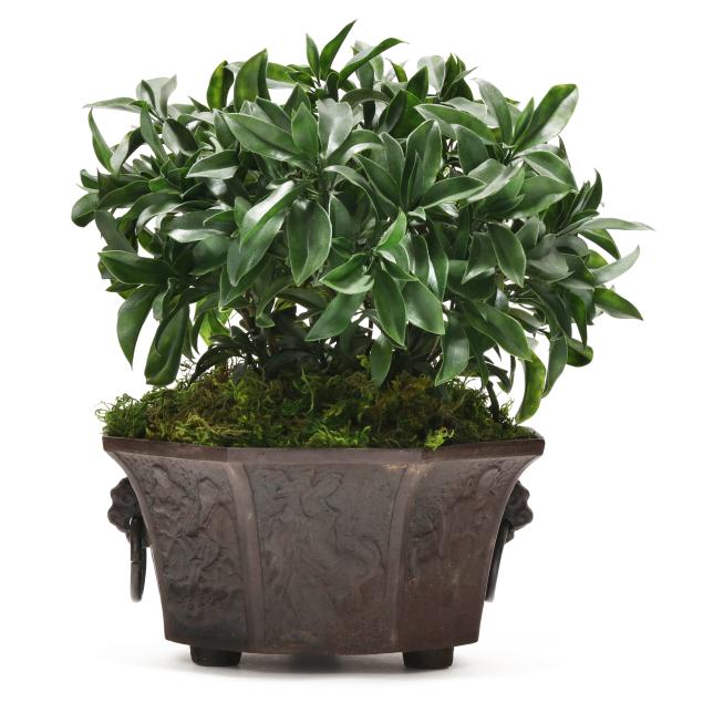 a-chinese-style-bronze-planter