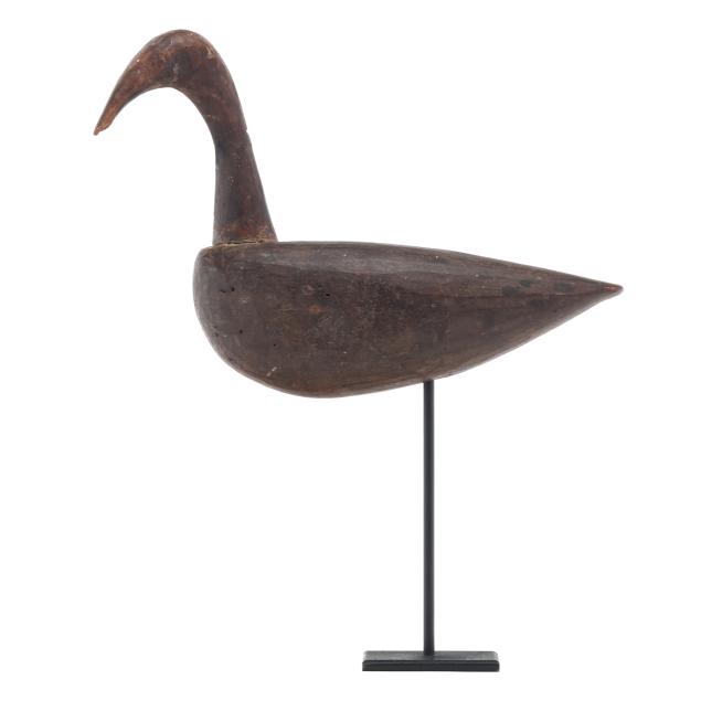 early-published-cedar-island-roothead-curlew
