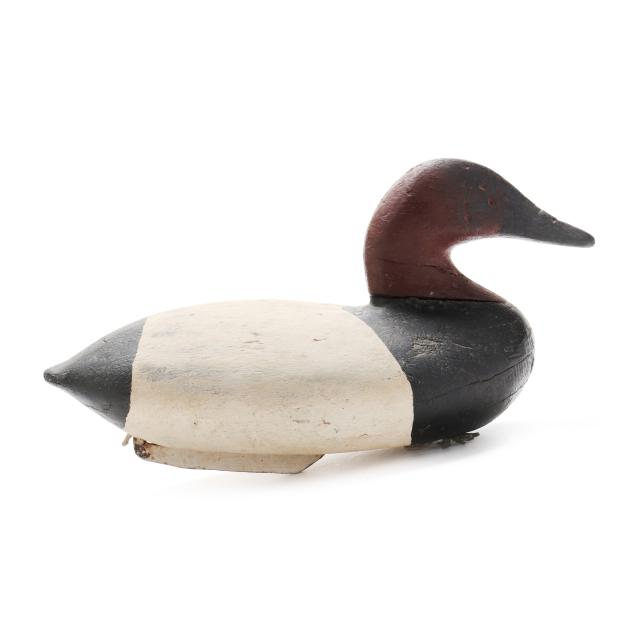 early-cecil-county-canvasback