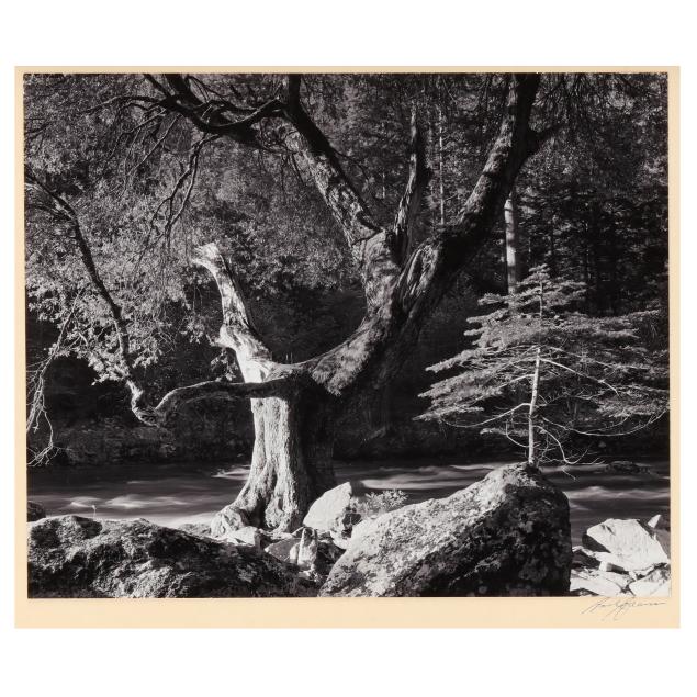 ansel-adams-american-1902-1984-i-early-morning-merced-river-i