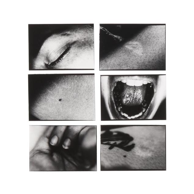 set-of-six-framed-contemporary-photographs-of-physiological-features