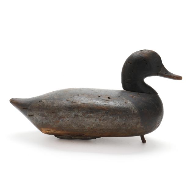 james-jim-holly-md-1855-1935-rare-bluebill-j-c-carter-brand