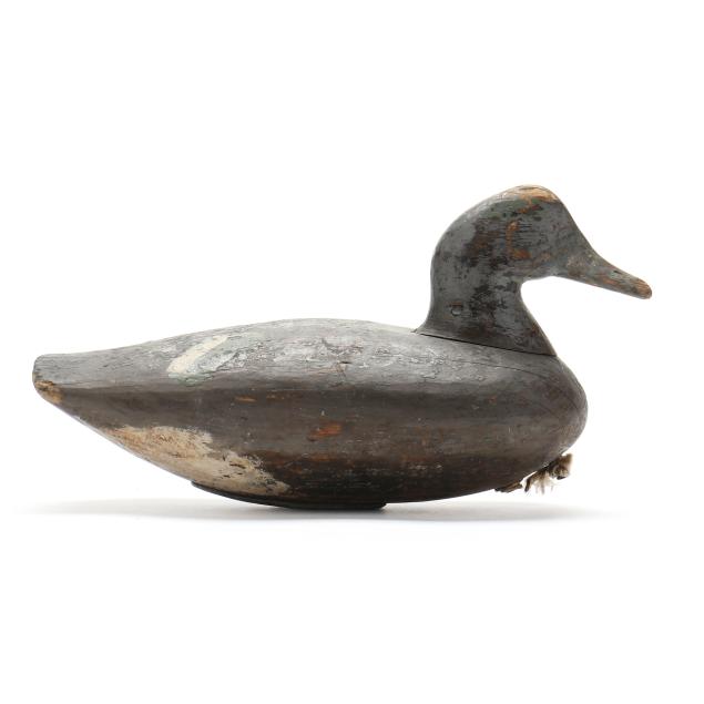 ivey-stevens-va-1876-1947-widgeon