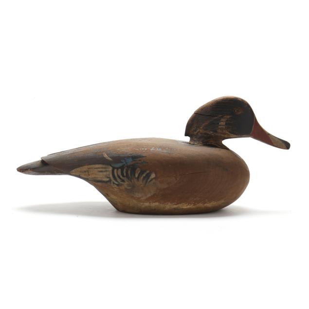 chief-eugene-cuffee-ny-1861-1941-wood-duck