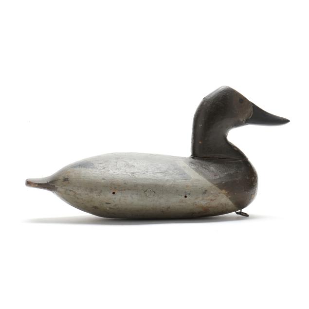 will-snake-heverin-md-1860-1951-hen-canvasback