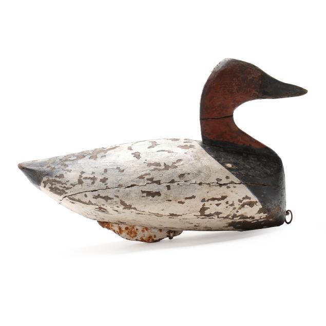 russell-waterfield-va-1901-1948-pine-island-gun-club-canvasback