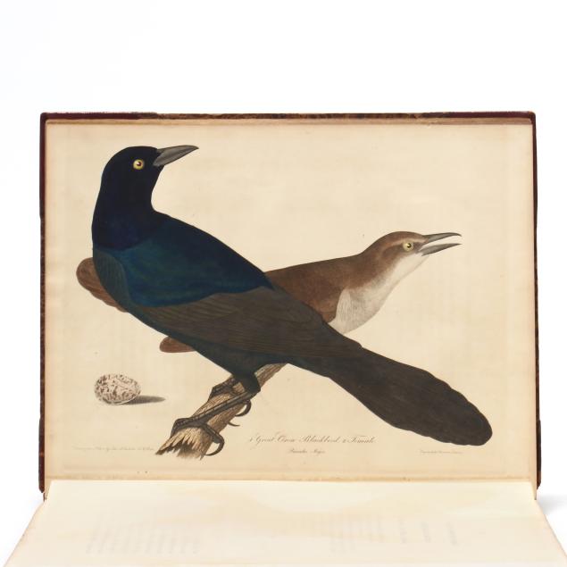 first-edition-of-bonaparte-s-celebrated-i-american-ornithology-i-with-spectacular-hand-colored-plates