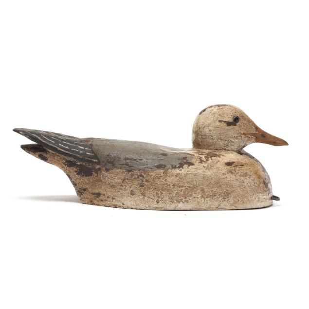 virginia-folksy-seagull