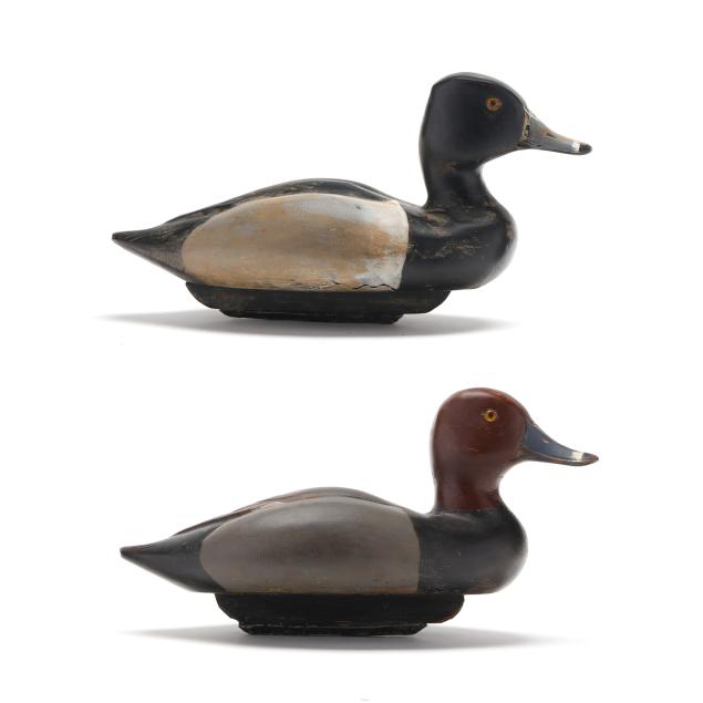 dave-hodgeman-mi-b-1936-pair-of-ringnecks