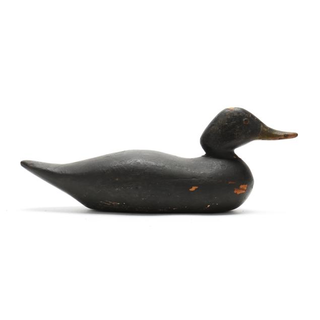 j-n-dodge-co-mi-black-duck