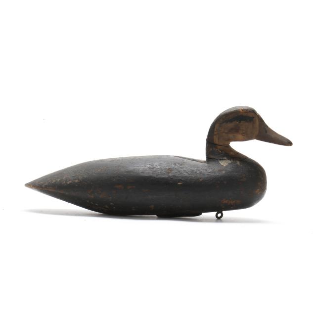 ike-phillips-va-black-duck