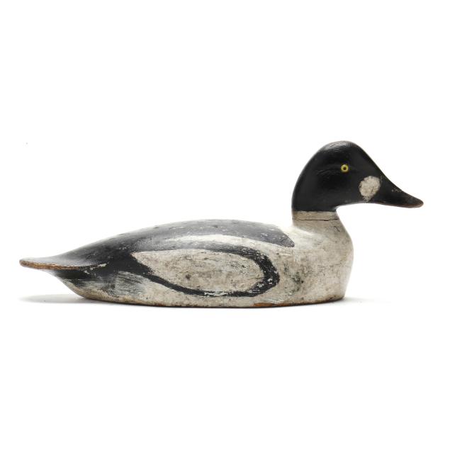 chauncey-wheeler-ny-1862-1937-goldeneye
