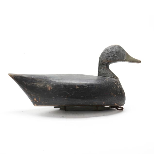 callie-o-neal-nc-1910-1970-black-duck