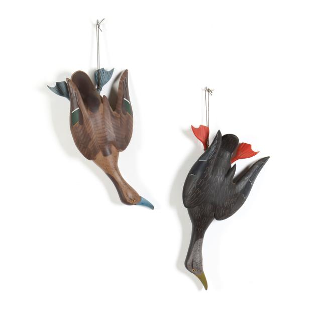 vernon-bryant-md-dead-hanging-black-duck-and-hen-pintail