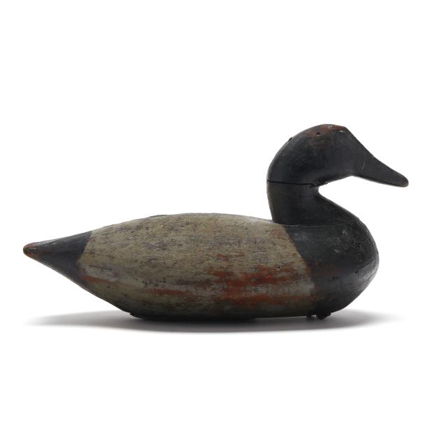 early-cedar-island-bluebill
