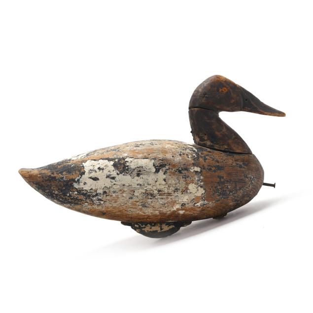 charlie-waterfield-nc-1881-1973-canvasback