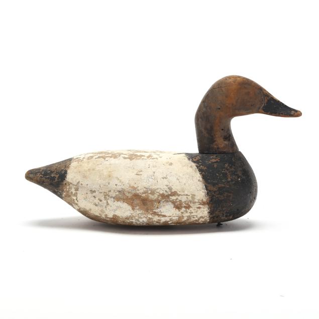 oscar-carroll-va-1868-1946-canvasback