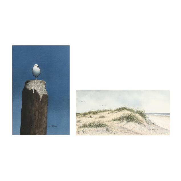 cotton-ketchie-nc-sand-dunes-i-lone-gull-i-two-works
