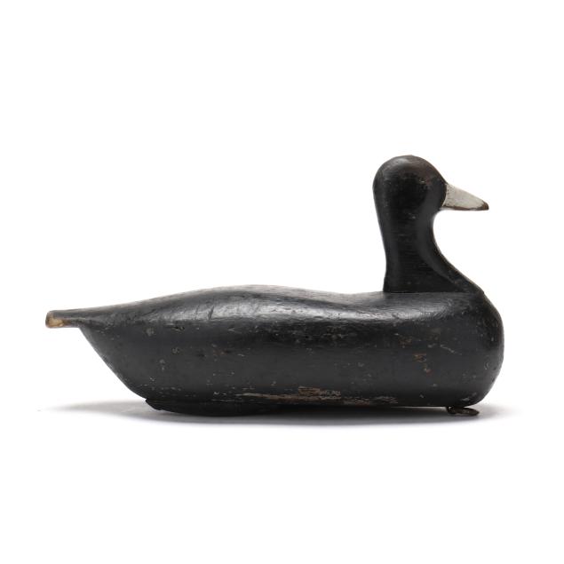 george-waterfield-nc-1885-1926-coot