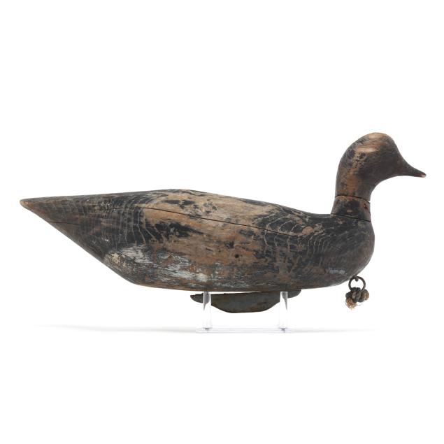 wayland-baum-nc-1904-2007-swimming-brant