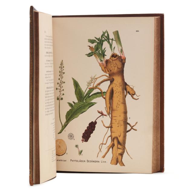 millspaugh-s-illustrated-guide-to-american-medicinal-plants