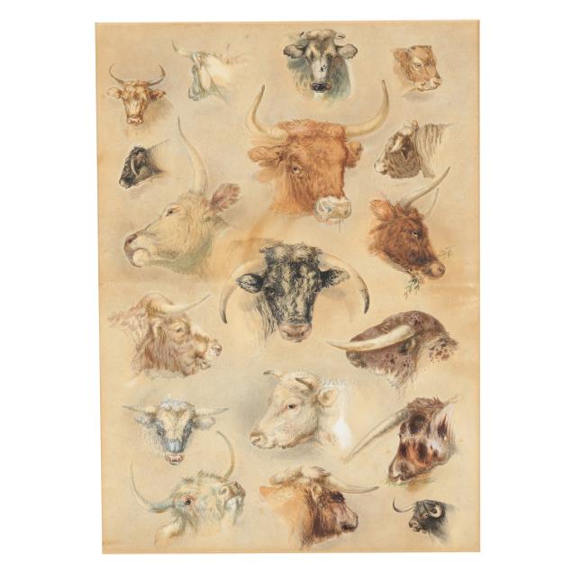 attributed-robert-hills-british-1769-1844-study-of-heads-of-cows