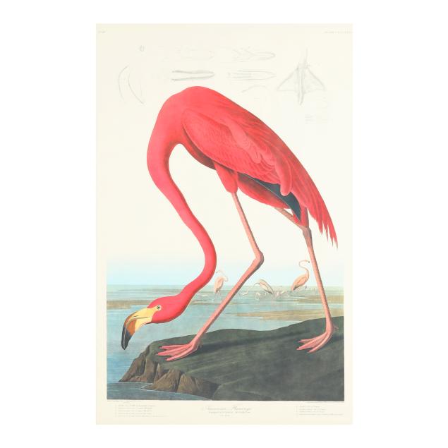 large-framed-flamingo-print-after-audubon