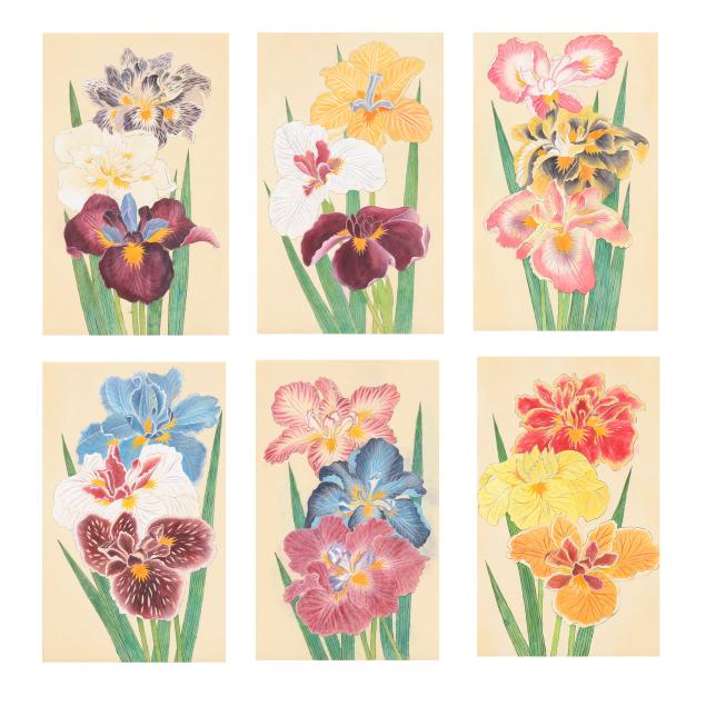 a-suite-of-six-framed-and-hand-painted-iris-studies