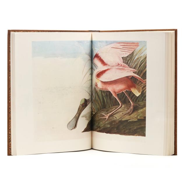i-the-original-water-color-paintings-by-john-james-audubon-for-the-birds-of-america-i-1966