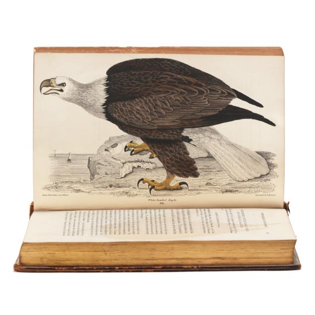 wilson-and-bonaparte-s-i-american-ornithology-i-with-hand-colored-plates