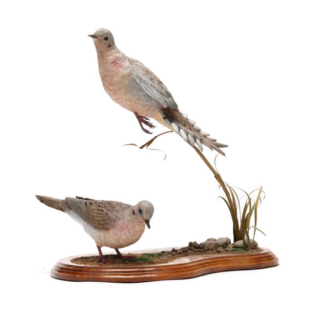al-giacoia-pair-of-mourning-doves