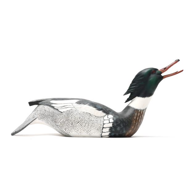 ken-lowe-nc-calling-red-breasted-merganser