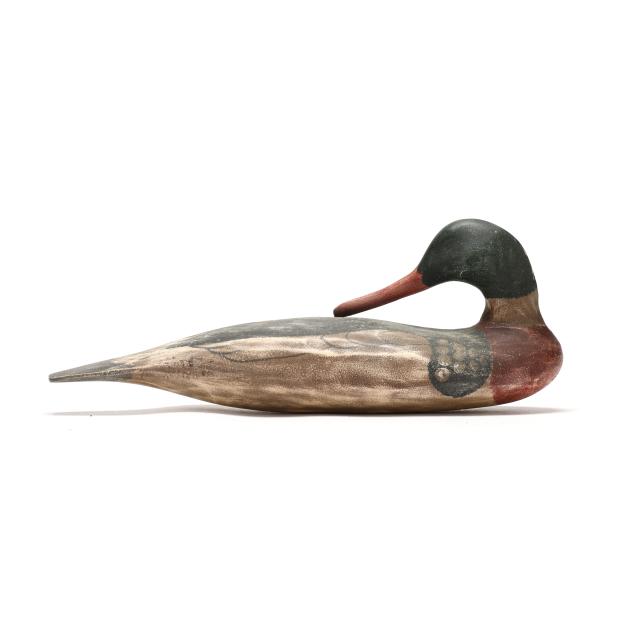 johnathan-willis-nc-preening-merganser